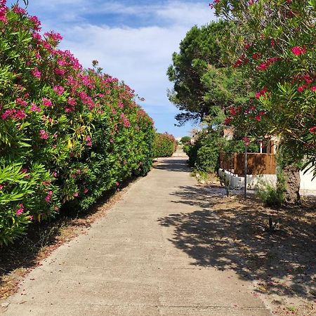 Coquette Villa De Vacances Ле Баркарес Экстерьер фото