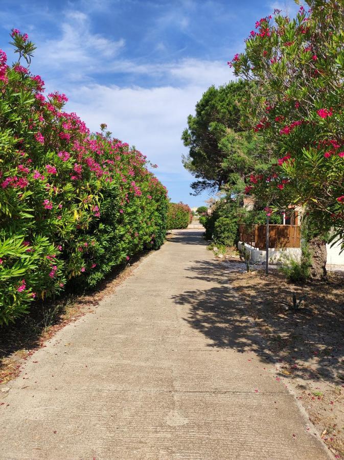 Coquette Villa De Vacances Ле Баркарес Экстерьер фото